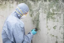 Best Residential Mold Inspection & Testing  in Moose Wilson Road, WY